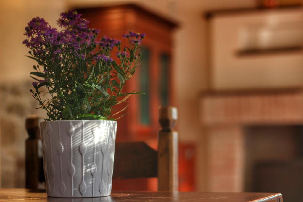 Country House Cozzena Maslianico Exterior foto